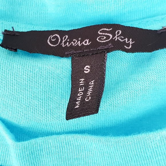 NWT Olivia Sky Blue Short Sleeve Top Size Small - Picture 3 of 7
